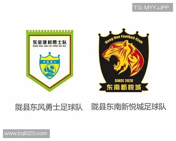 武汉足球队的战术创新与运营体系分析探讨